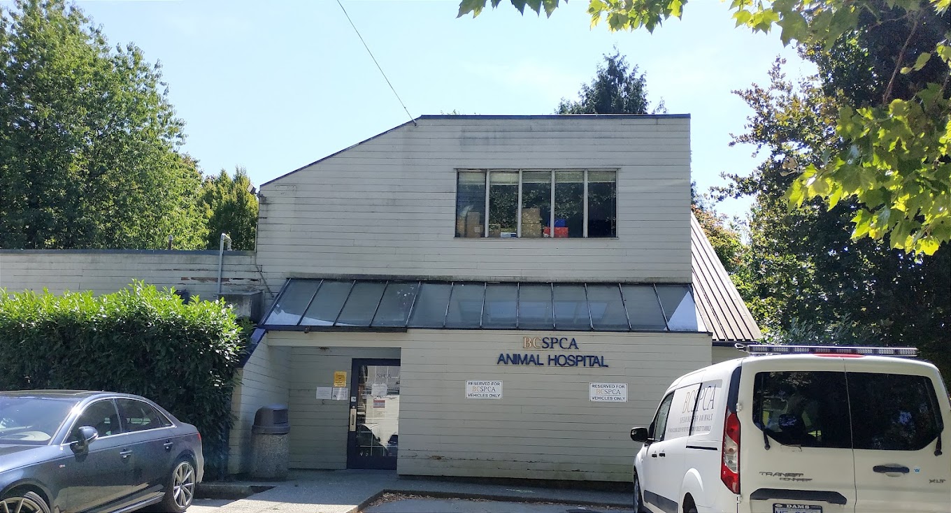 BC SPCA Vancouver Animal Hospital Company Image